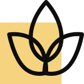 Renovación